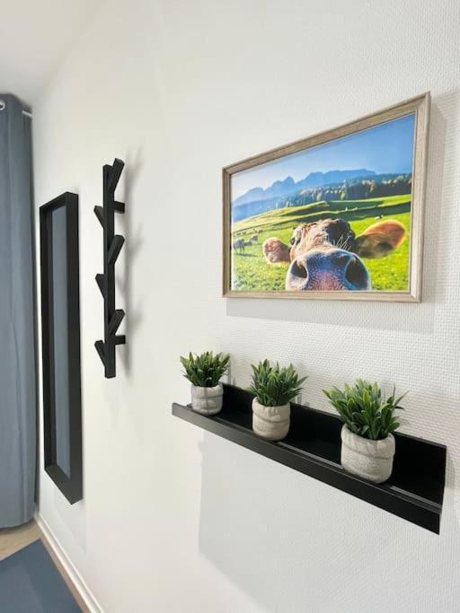 Apartament La Mascotte Saint-Louis  Zewnętrze zdjęcie